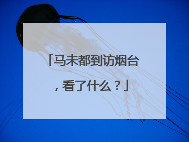 马未都到访烟台，看了什么？
